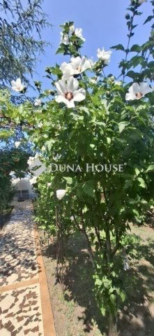 Eladó családi ház, Budapesten, XIX. kerületben 75 M Ft, 4 szobás