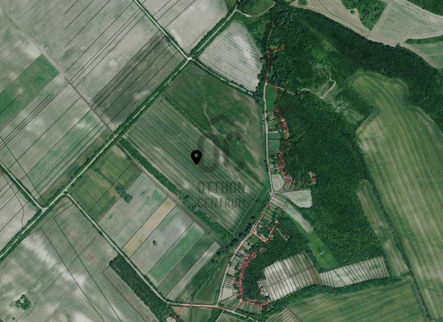 Eladó mezogazdasagi ingatlan, Pilisen 79.5 M Ft