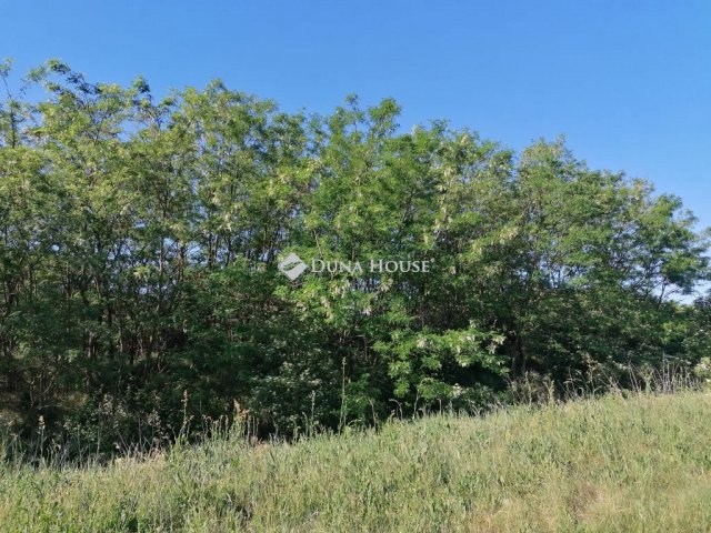 Eladó telek, Nagyhalászban 3.8 M Ft / költözzbe.hu