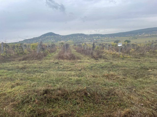 Eladó mezogazdasagi ingatlan, Zánkán 24.951 M Ft