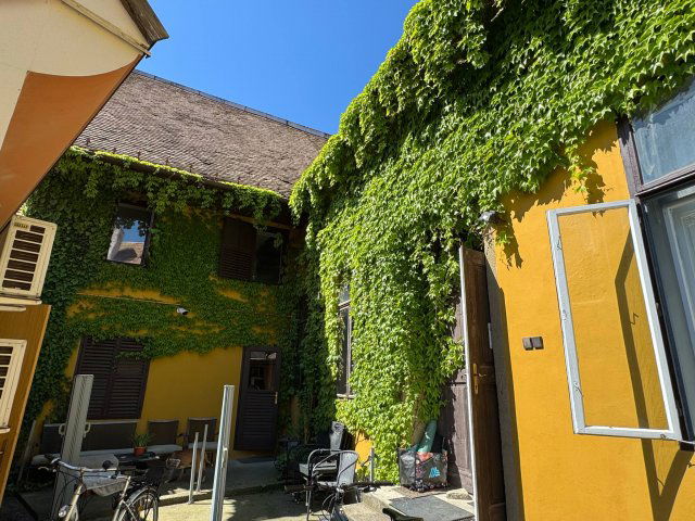 Kiadó téglalakás, albérlet, Pécsett 125 E Ft / hó, 3 szobás