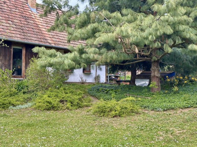 Eladó családi ház, Zalacsányon 250 M Ft / költözzbe.hu