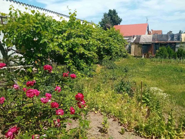 Eladó családi ház, Siófokon 45 M Ft, 2 szobás