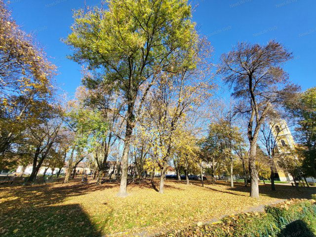 Eladó téglalakás, Győrött 89.9 M Ft, 3 szobás