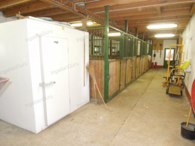 Eladó mezogazdasagi ingatlan, Lajosmizsén 307.5 M Ft