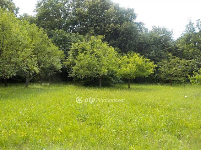 Eladó telek, Kaposváron 1.3 M Ft / költözzbe.hu