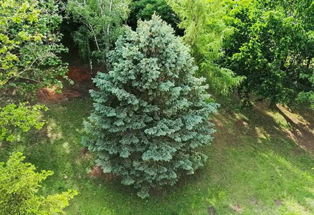 Eladó téglalakás, Debrecenben 44.9 M Ft, 2 szobás