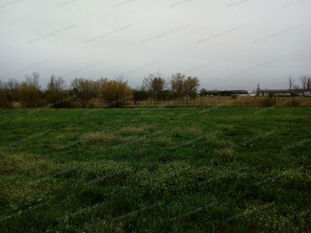 Eladó mezogazdasagi ingatlan, Szolnokon 77 M Ft