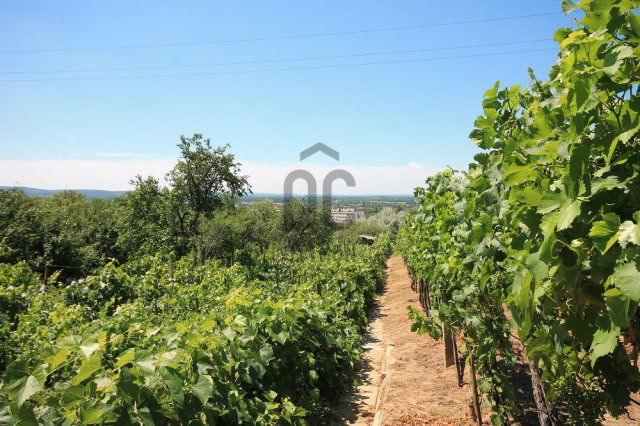 Eladó telek, Tatabányán 1.8 M Ft / költözzbe.hu