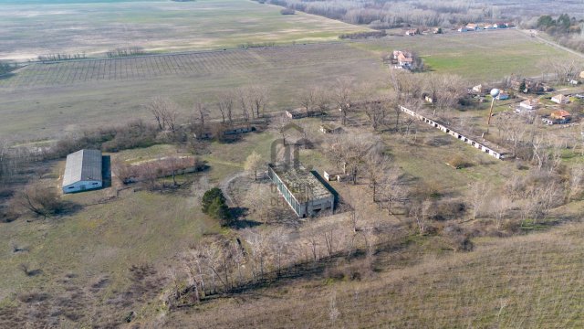 Eladó ipari ingatlan, Bácsszőlősön 65 M Ft
