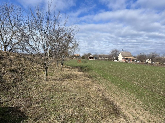 Eladó mezogazdasagi ingatlan, Polgárdin 2.9 M Ft