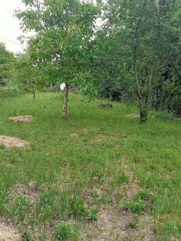 Eladó mezogazdasagi ingatlan, Vértessomlón 8 M Ft, 1 szobás