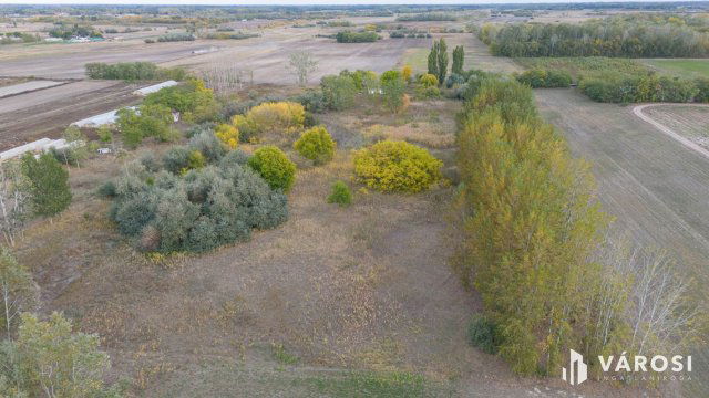 Eladó mezogazdasagi ingatlan, Balástyán 17.5 M Ft, 1 szobás