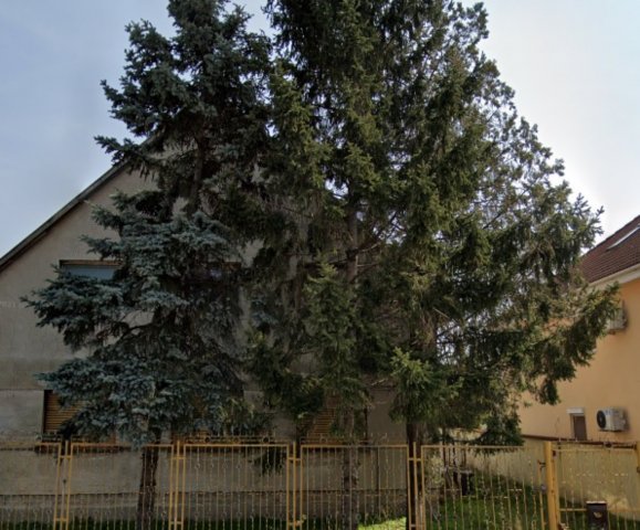 Eladó családi ház, Szigetszentmiklóson 40 M Ft, 4 szobás
