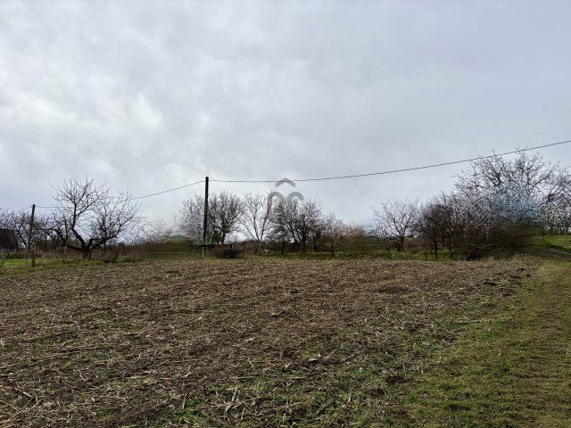 Eladó mezogazdasagi ingatlan, Ádándon 3.99 M Ft