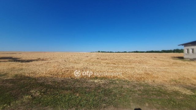 Eladó mezogazdasagi ingatlan, Tiszalúcon 315 M Ft