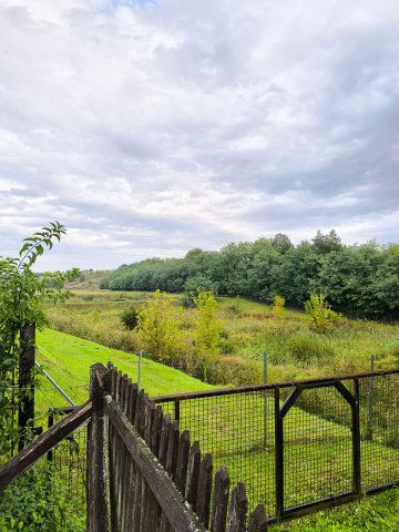 Eladó családi ház, Harsányban 14.999 M Ft, 4 szobás