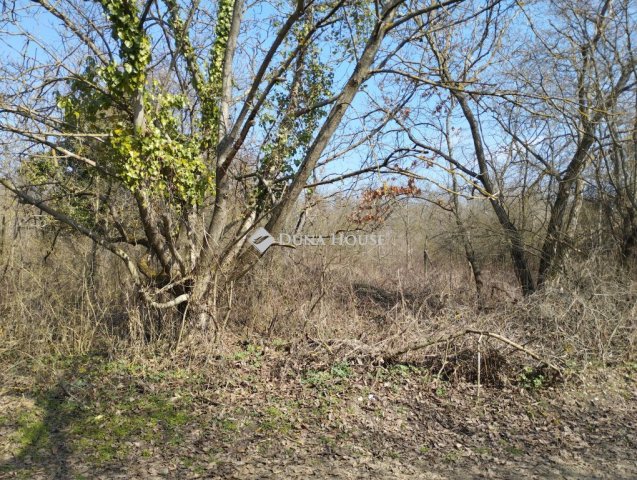 Eladó telek, Őrbottyánban 18 M Ft / költözzbe.hu