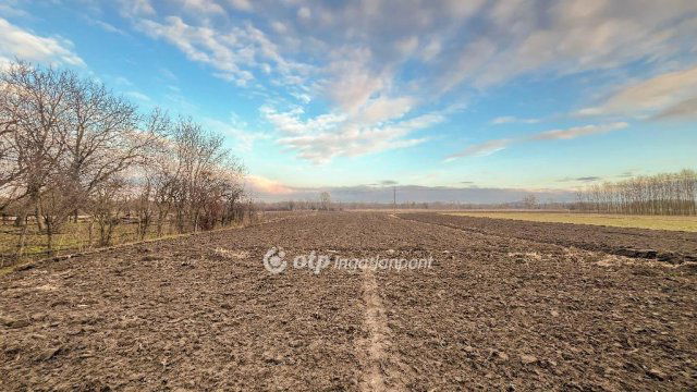 Eladó családi ház, Bakonybánkon 24.9 M Ft, 4 szobás