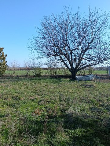 Eladó telek, Érden 14.99 M Ft / költözzbe.hu