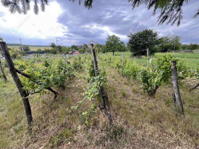 Eladó telek, Csákberényben 13 M Ft / költözzbe.hu