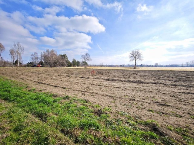 Eladó mezogazdasagi ingatlan, Szatymazon 4.5 M Ft