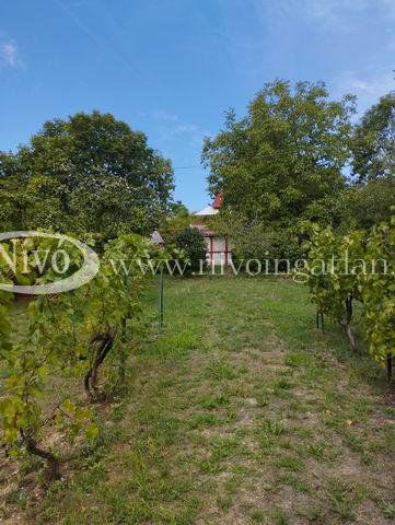 Eladó nyaraló, Veszprémben 14.85 M Ft, 1 szobás