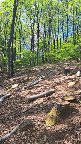 Eladó telek, Mátraszentimrén, Fácán utcában 22.5 M Ft