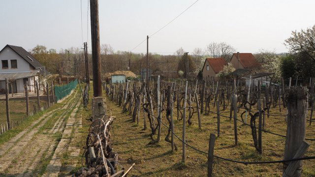 Eladó telek, Szekszárdon 35 M Ft / költözzbe.hu