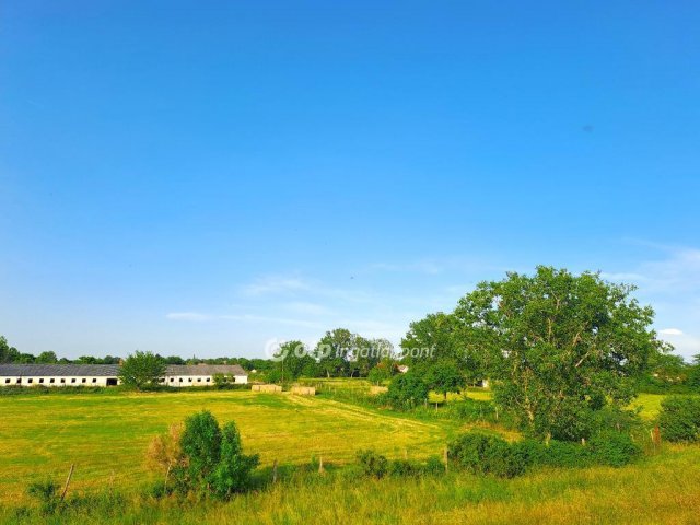 Eladó mezogazdasagi ingatlan, Solton 149.99 M Ft