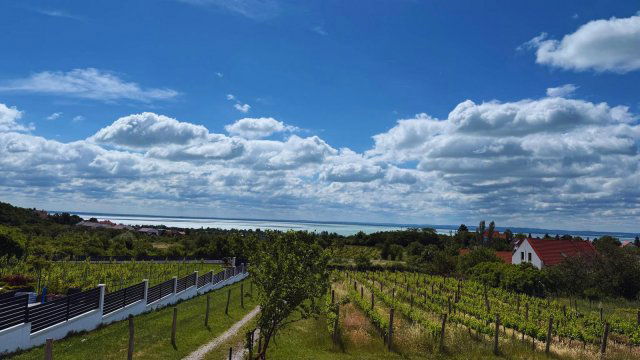 Eladó telek, Felsőörsön 69.9 M Ft / költözzbe.hu