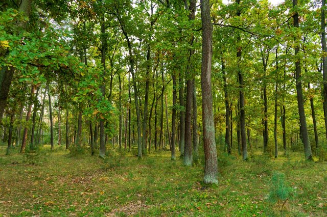 Eladó mezogazdasagi ingatlan, Somoskőújfalun 1.5 M Ft