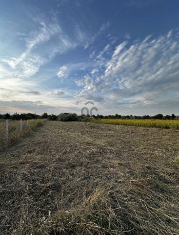 Eladó telek, Bicskén 7.99 M Ft / költözzbe.hu