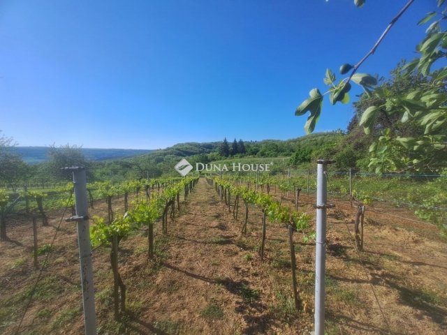 Eladó telek, Zalaistvándon 3.95 M Ft / költözzbe.hu