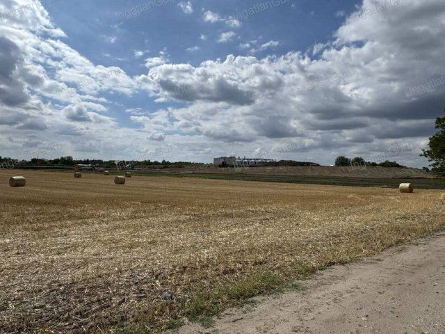 Eladó mezogazdasagi ingatlan, Kunszálláson 130 M Ft