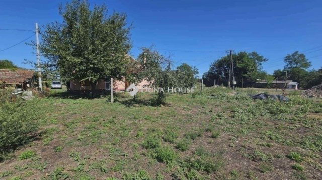 Eladó mezogazdasagi ingatlan, Szegeden 38.9 M Ft