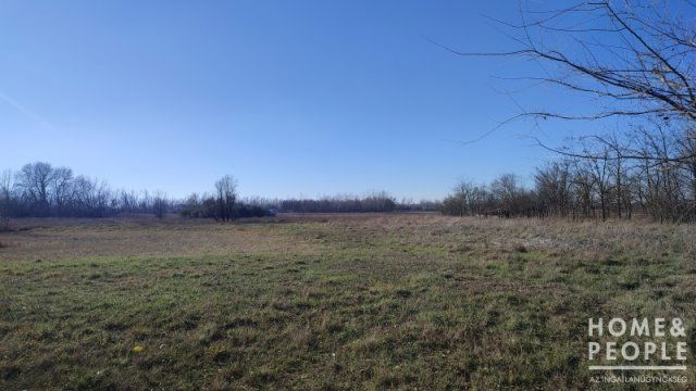 Eladó mezogazdasagi ingatlan, Szatymazon 7.9 M Ft
