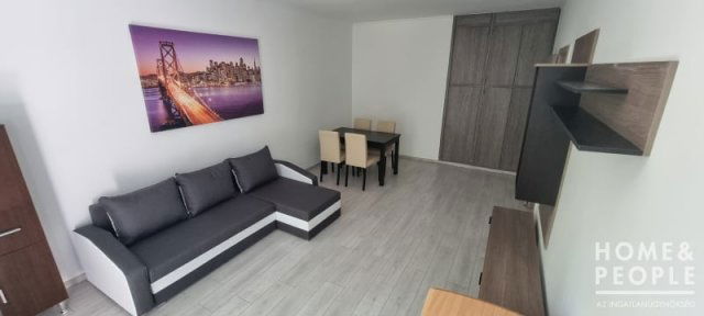Kiadó téglalakás, albérlet, Szegeden 175 E Ft / hó, 1+1 szobás