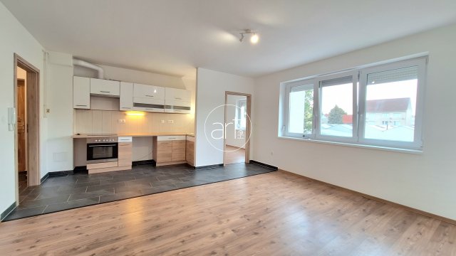 Kiadó téglalakás, albérlet, Szegeden, Remény utcában, 3 szobás