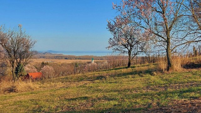 Eladó telek, Balatonedericsen 138 M Ft / költözzbe.hu