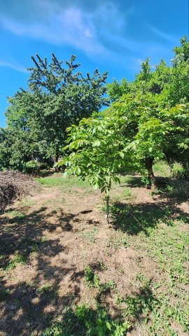 Eladó telek, Gödöllőn 89 M Ft, 3 szobás / költözzbe.hu