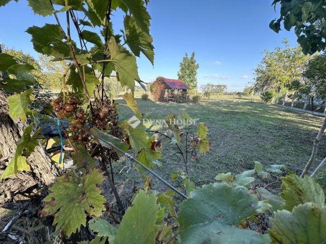 Eladó mezogazdasagi ingatlan, Szentkirályon 39.9 M Ft, 4 szobás