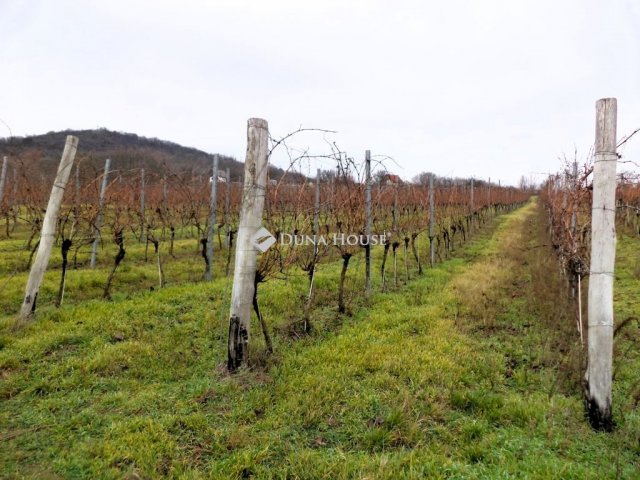 Eladó mezogazdasagi ingatlan, Nadapon 15 M Ft