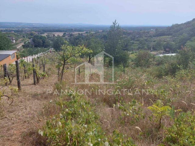 Eladó mezogazdasagi ingatlan, Magyarpolányban 9.9 M Ft