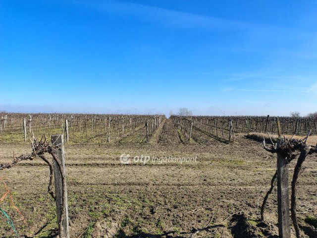 Eladó telek, Csengődön 37.9 M Ft / költözzbe.hu