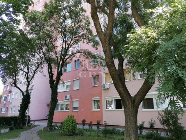 Kiadó panellakás, albérlet, Budapesten, XXI. kerületben