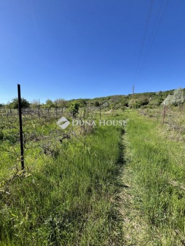 Eladó telek, Várpalotán 5.5 M Ft / költözzbe.hu