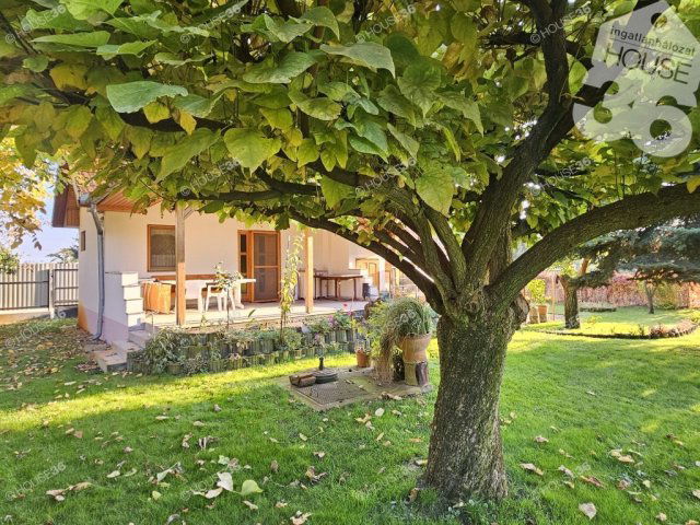 Eladó mezogazdasagi ingatlan, Kiskunfélegyházán 31.9 M Ft