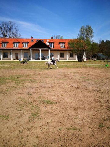 Eladó mezogazdasagi ingatlan, Ócsán 135 M Ft