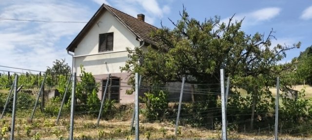 Eladó mezogazdasagi ingatlan, Dobán 7.99 M Ft